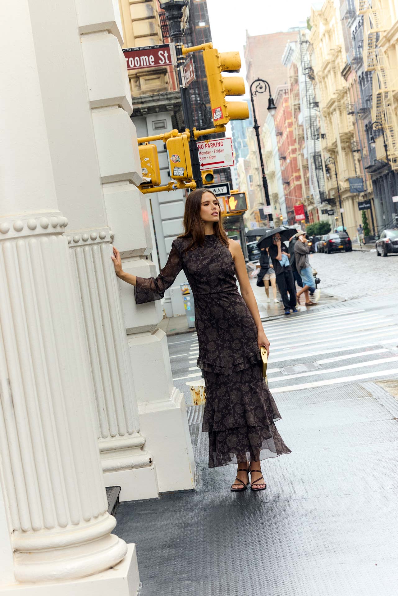 Iris Dahlia Chocolate Dress